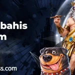 Mersobahis İletişim