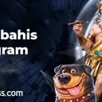 Mersobahis Instagram